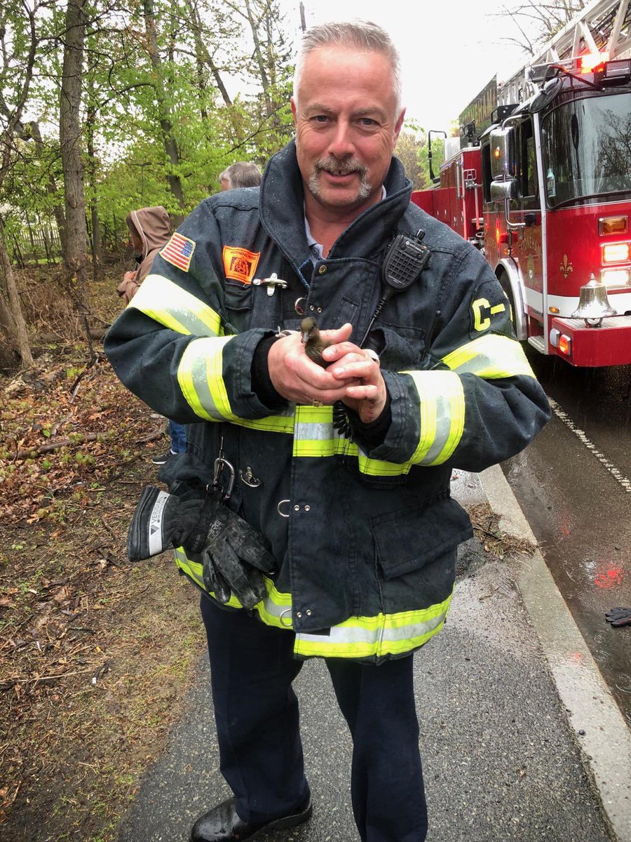 Local_2116's tweet image. Stoneham firefighters from group 2 and stoneham police were able to make it a very special Mother’s Day to one mom in stoneham..   firefighters were able to save 5 ducklings out of a storm drain.   Ducklings and momma duck were happily reunited to enjoy the rest of the day