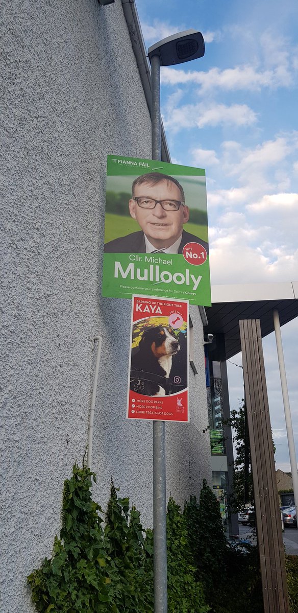 MichaelMullooly's tweet image. One man and his dog @DPFood