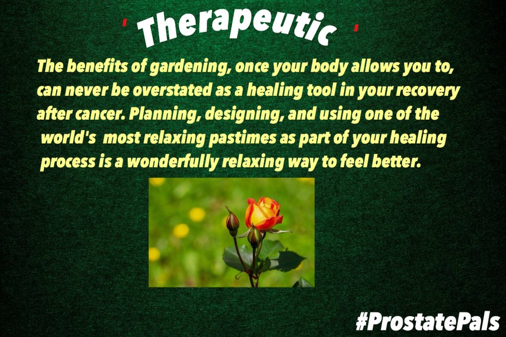 ScarboroughFun's tweet photo. The Cancer Journey can lead to some beautiful things, if you see it as just that. Gardening is helping me.I'm inspired daily by EXPERTS like @FlockofGhosts who's mesmerisingly kaleidoscopic natural photographs are so helpful &amp; inspiring.

Great for your wounded soul #ProstatePals https://t.co/WKqbD3zCWb