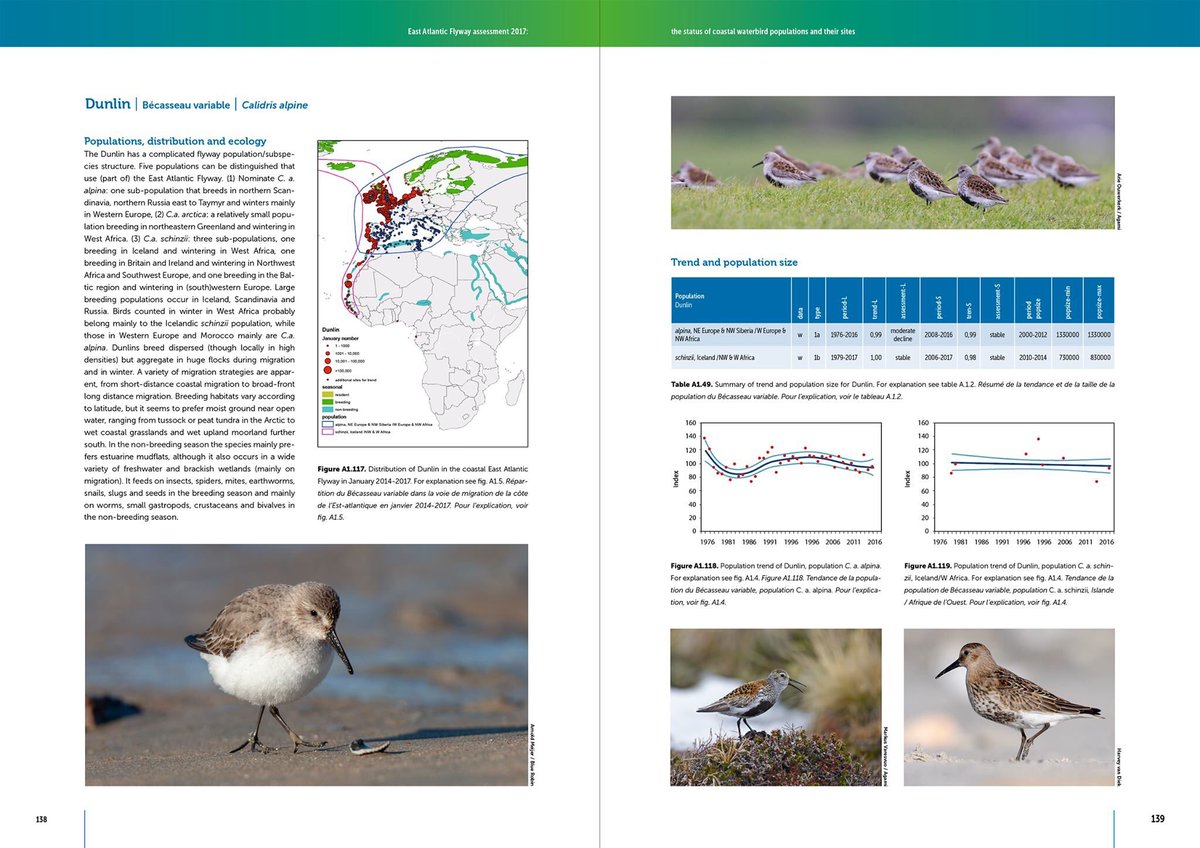 ArnoldMeijer's tweet image. The 2017 East Atlantic Flyway report can be downloaded here now: bit.ly/2VfP7Le Proud to have done the lay-out, dtp and print on this 200 pager for @BirdLife_News and @Sovon