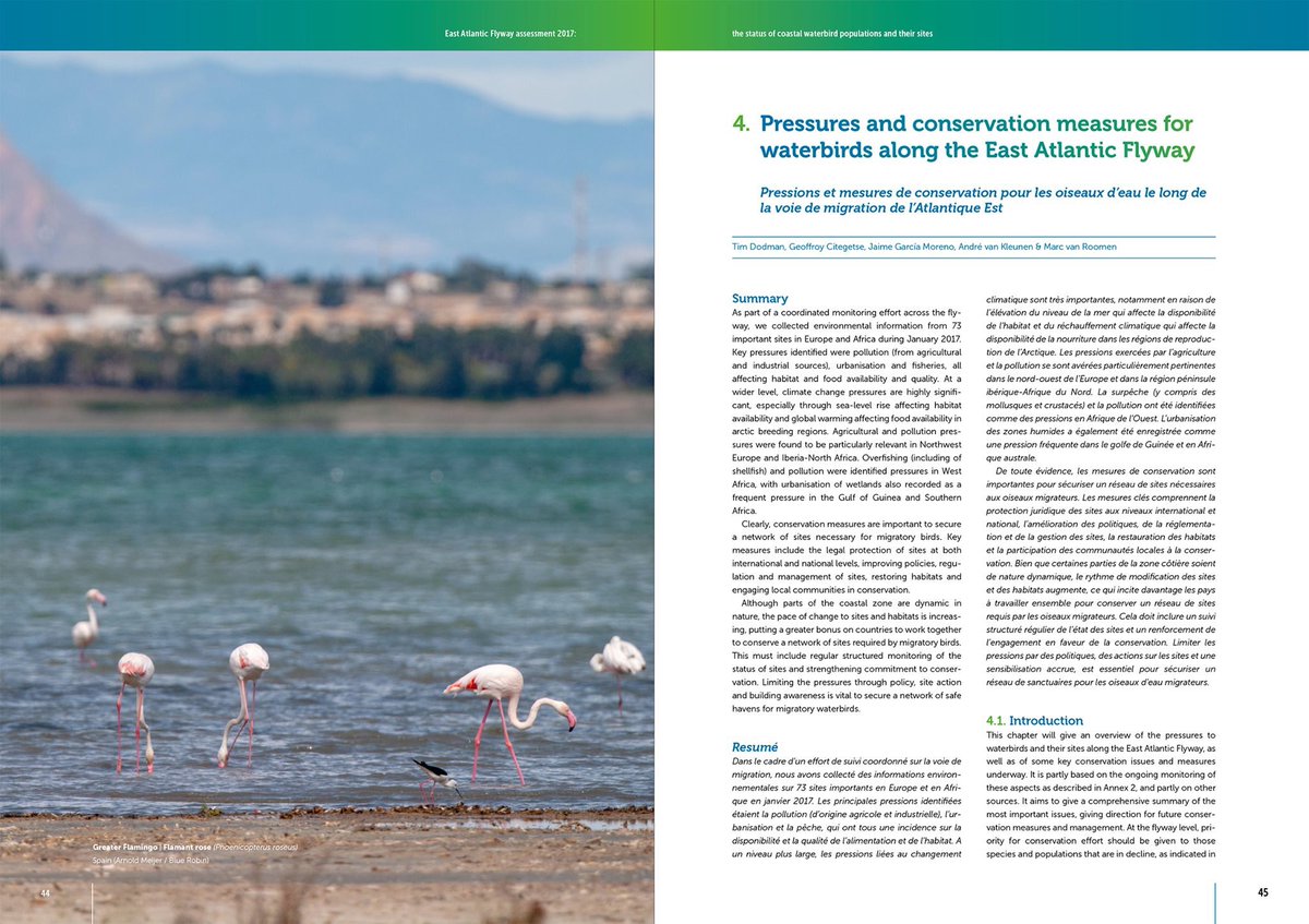 ArnoldMeijer's tweet image. The 2017 East Atlantic Flyway report can be downloaded here now: bit.ly/2VfP7Le Proud to have done the lay-out, dtp and print on this 200 pager for @BirdLife_News and @Sovon