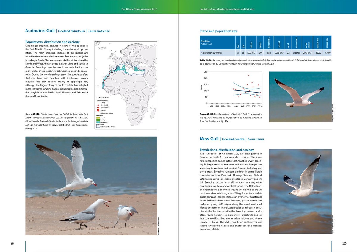 ArnoldMeijer's tweet image. The 2017 East Atlantic Flyway report can be downloaded here now: bit.ly/2VfP7Le Proud to have done the lay-out, dtp and print on this 200 pager for @BirdLife_News and @Sovon
