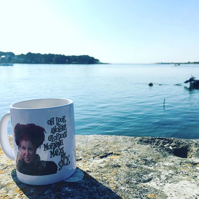 harryloves2draw's tweet image. Today
.
.
.
#sunshine #peaceful #beforeweopen #office bit.ly/2VTt813