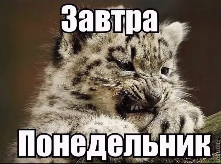 Последний понедельник лета. Понедельник мемы в картинках. Понедельник день чижолый. Уважение понедельник. Понедельникдегьтяжелый.