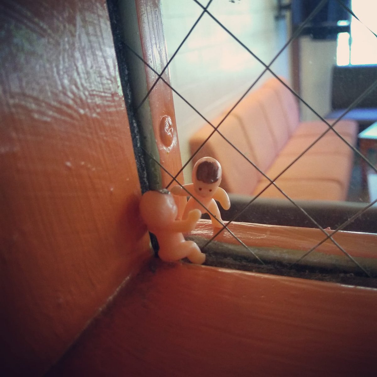 It's moveout week at the university I work at. I found these little guys hanging out in a window on campus. What do you think their story is, @writingcommunity?