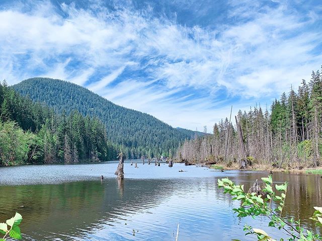 joewuq's tweet photo. #mountaineer #awesomeearth #camping #mountains #mecnation #explorebc #earthpix #gooutside #pnw #bestmountainartists #hiking #naturephotography #landscape_captures #theoutbound #natureaddict #wanderlust #bcparks #northshore #vancouvertrails #nature_wizard… https://t.co/uoNvf1gdZn https://t.co/etr5bAgr07