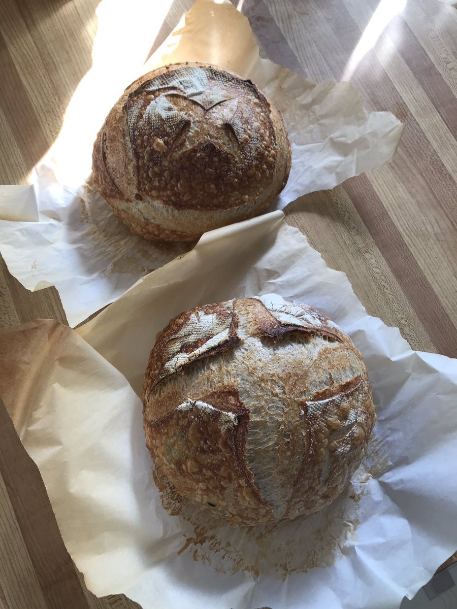 chingchinglcc's tweet image. Sourdough