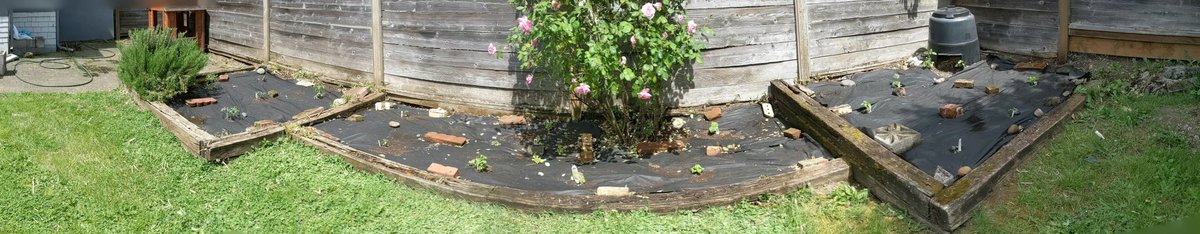 CoderDabe1000's tweet image. Garden all planted weeded, lined, and planted! Tomatoes, peppers, squashes, herbs, and lettuces. #gardeners #gardening #Plant #vegetables