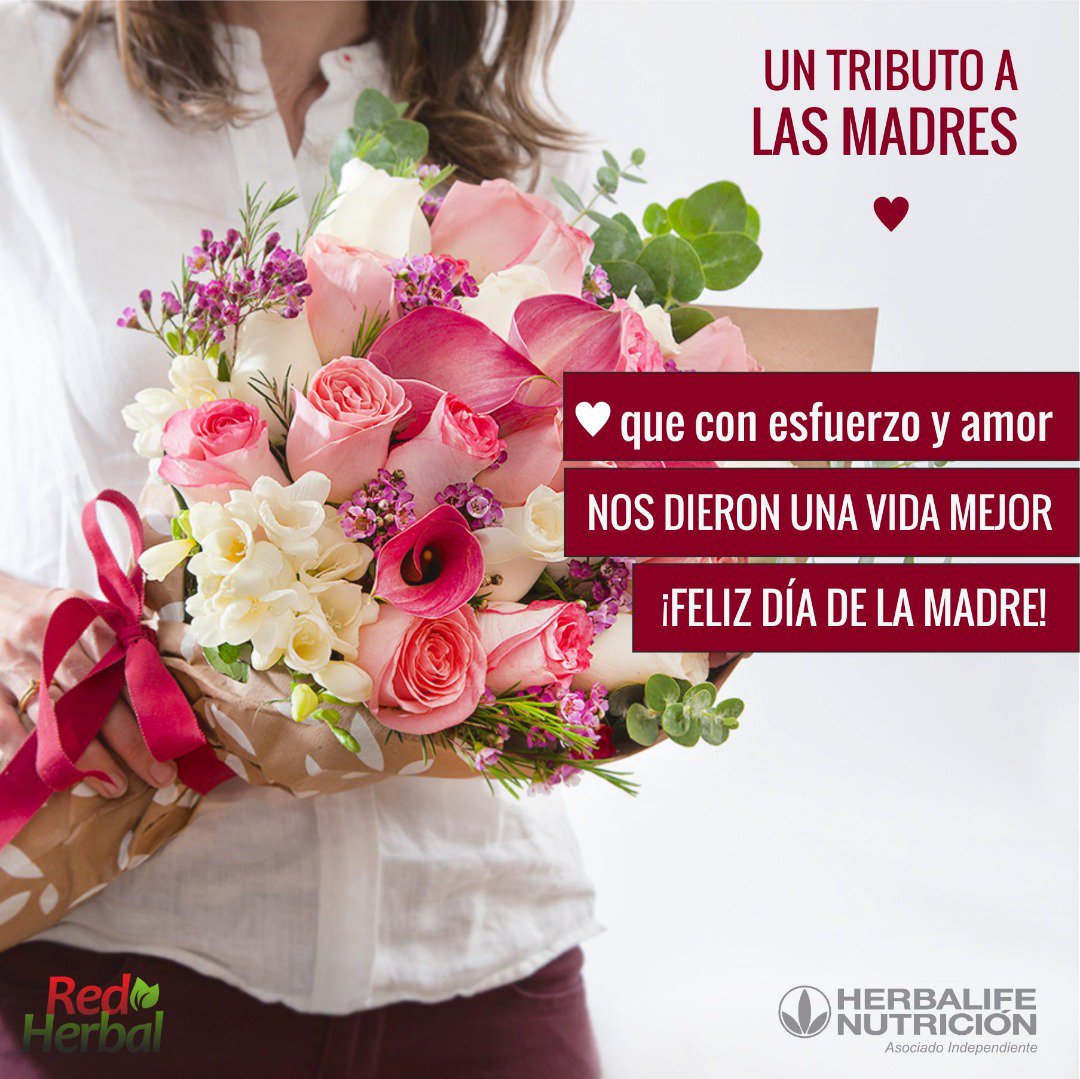 MonicaMoraHbl's tweet photo. ¡Feliz y bendecido día a todas las Madres!
#RedHerbal #MonicaMora #diadelamadre https://t.co/i5MXCXdOC4