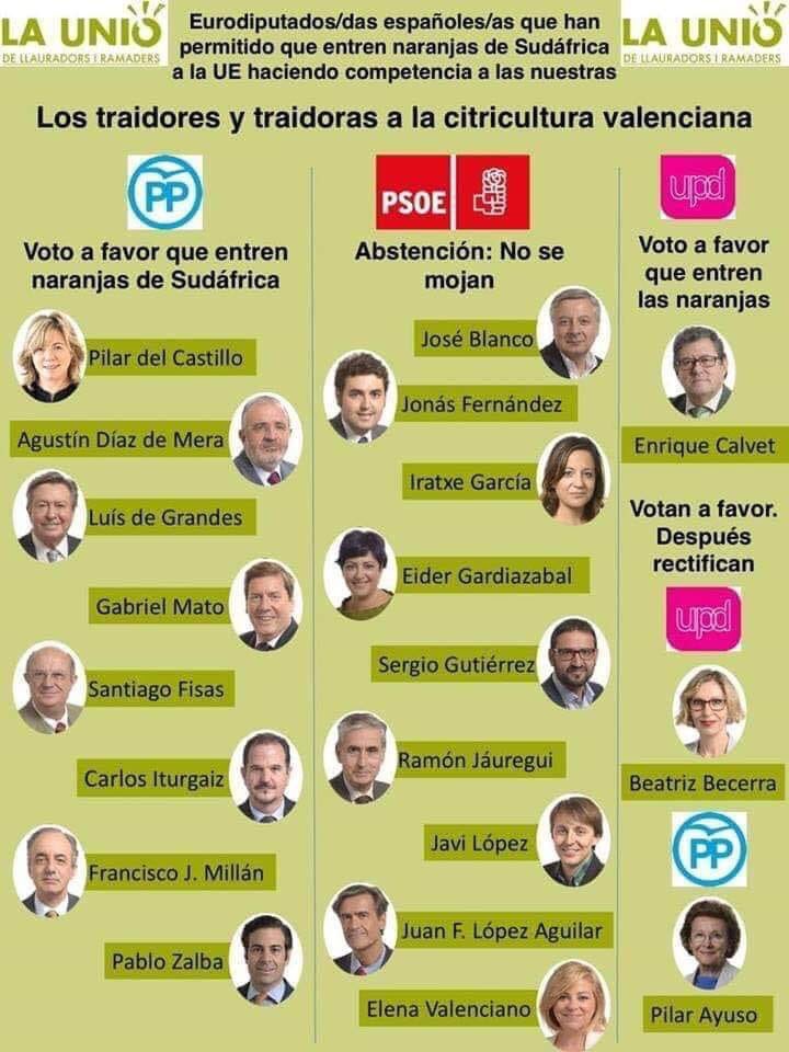 rafaferrern's tweet image. Los defensores de la agricultura @PPopularEspana @psoe @UPYD Gracias por defender la 🍊  #ObjetivoEuropa