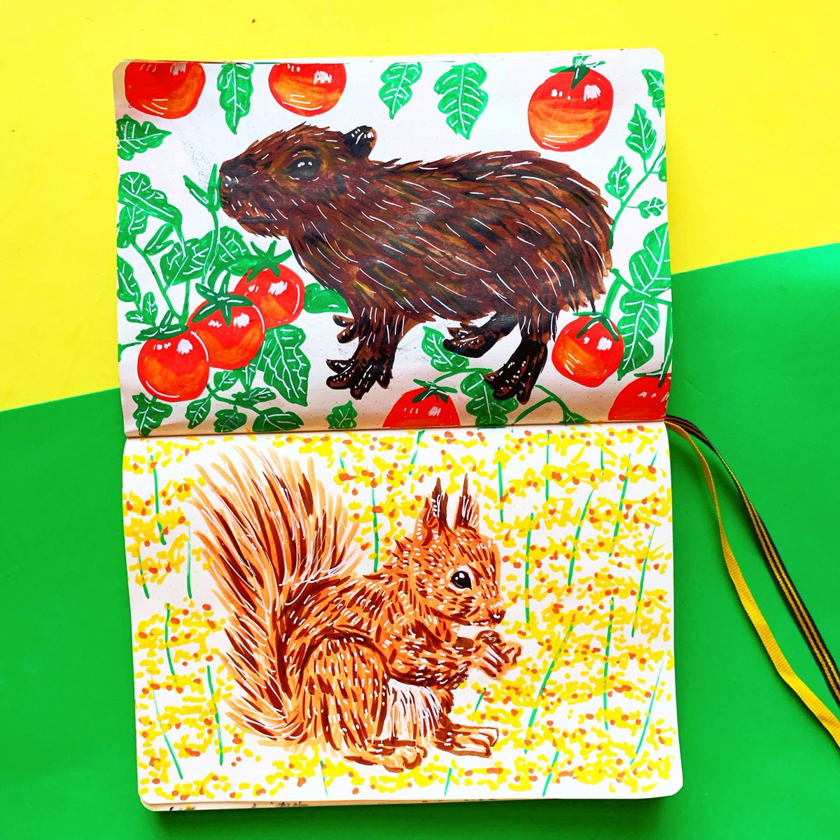 Sophmog's tweet photo. Day 40 of the #100dayproject was tomato and capybara. 🍅 and day 41 of goldenrod and squirrel. 🐿 

#illustration #posca #sketchbook #poscauk https://t.co/NtOHIw3OKq