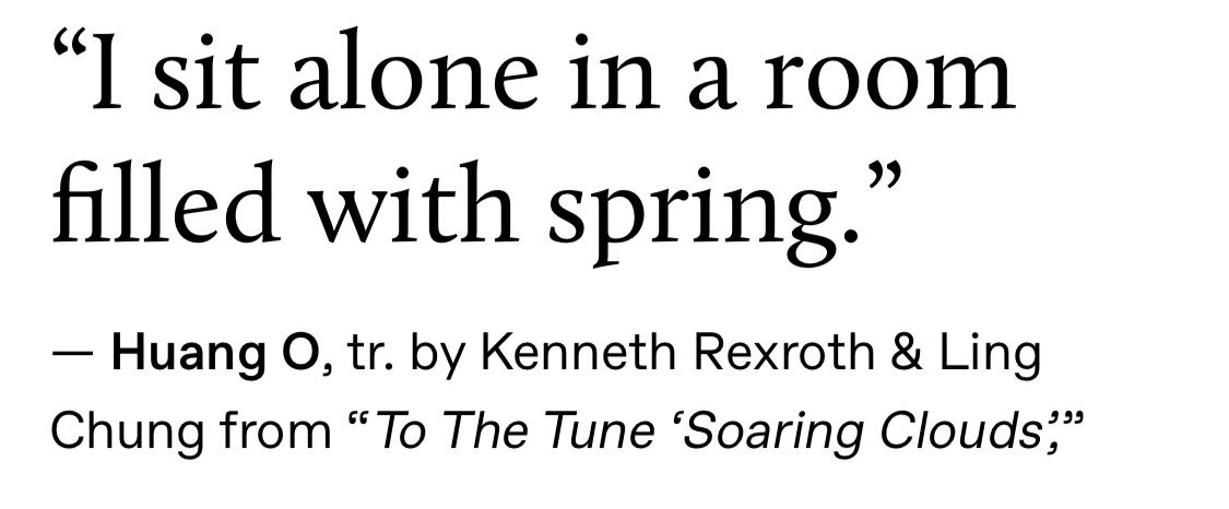 İdil Hafızoğlu tweet media