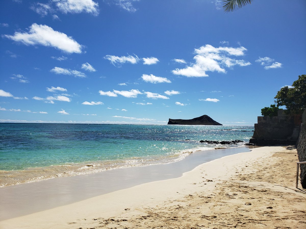 IlimaIRL's tweet photo. Happy Mommy's Day in Hawaii Nei!
#IlimaInRealLife
#TeamWaimanalo
#CultureofHealth
On Our Way
#IRLDC2019 https://t.co/IzrN6ATqkc