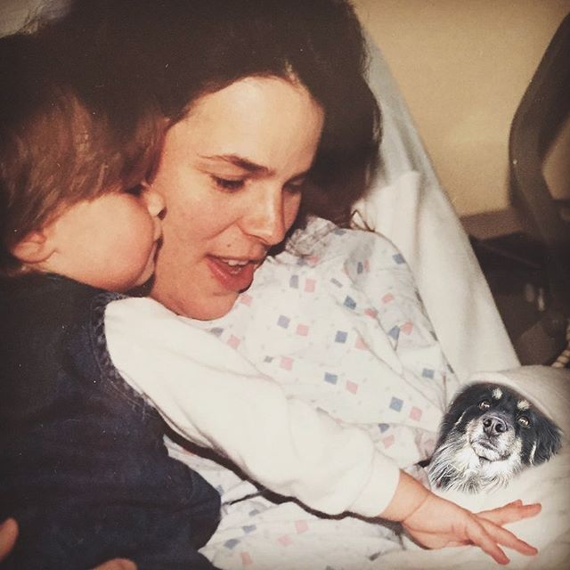 legilinsky's tweet photo. Happy Mother’s Day from your favorite child ❤️ (@thelifeofcub)

📸 https://t.co/6vUPy9Mk8I via https://t.co/Qn2W2cSPPw https://t.co/EycYJHJlvl