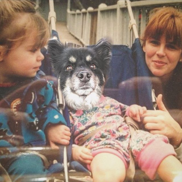 legilinsky's tweet photo. Happy Mother’s Day from your favorite child ❤️ (@thelifeofcub)

📸 https://t.co/6vUPy9Mk8I via https://t.co/Qn2W2cSPPw https://t.co/EycYJHJlvl