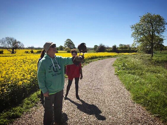 Soulton Hall tweet media