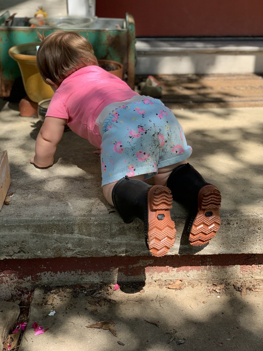 Mountaintotem's tweet photo. Good day for some yard work 👩🏽‍🌾 https://t.co/63WePI7yN6