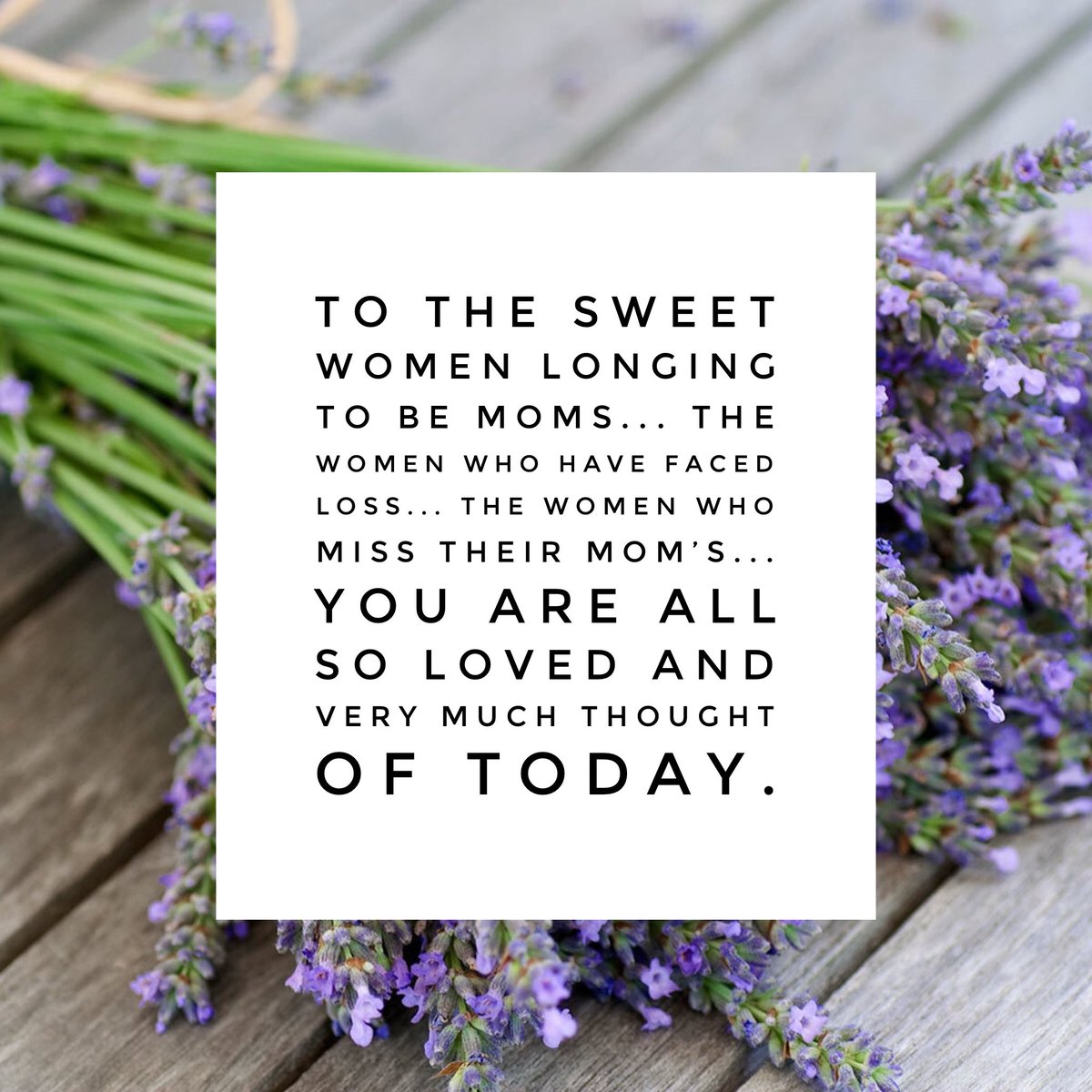 Anna Anderson (@accordingtoanna) on Twitter photo 