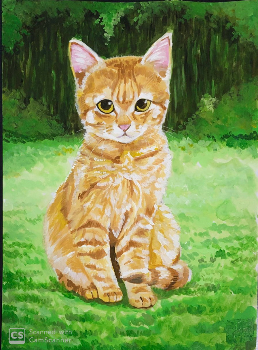 アクリル画 桟橋の猫 A2の通販 by ghost painter's shop｜ラクマ