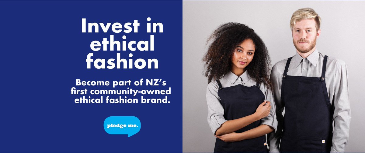 Little Yellow Bird tweet media