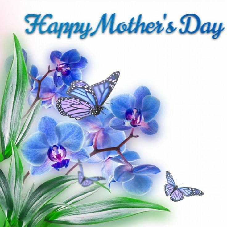 777BlueGangsta's tweet photo. Happy Mother's Day 2019 to All of #MJ's Loves - The Loyal #MJFan #MJFam #Moonwalkers who Deserve so much, Enjoy your day! L.O.V.E. From #BlueGangsta #MichaelJackson #KOP #Jackson5 #Neverland - #MJJustice #BillieJean #MJArt #Paris #Spain #Mexico #Brasil #OffTheWall #LadyInMyLife😎 https://t.co/qyImHSGIp7