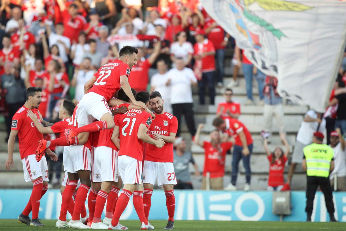 asamaris22's tweet photo. Uma final!! É o que falta! 💪🏻 Vamos com tudo, todos juntos! 🔴⚪ #SLBenfica https://t.co/a5lEbnzaOy