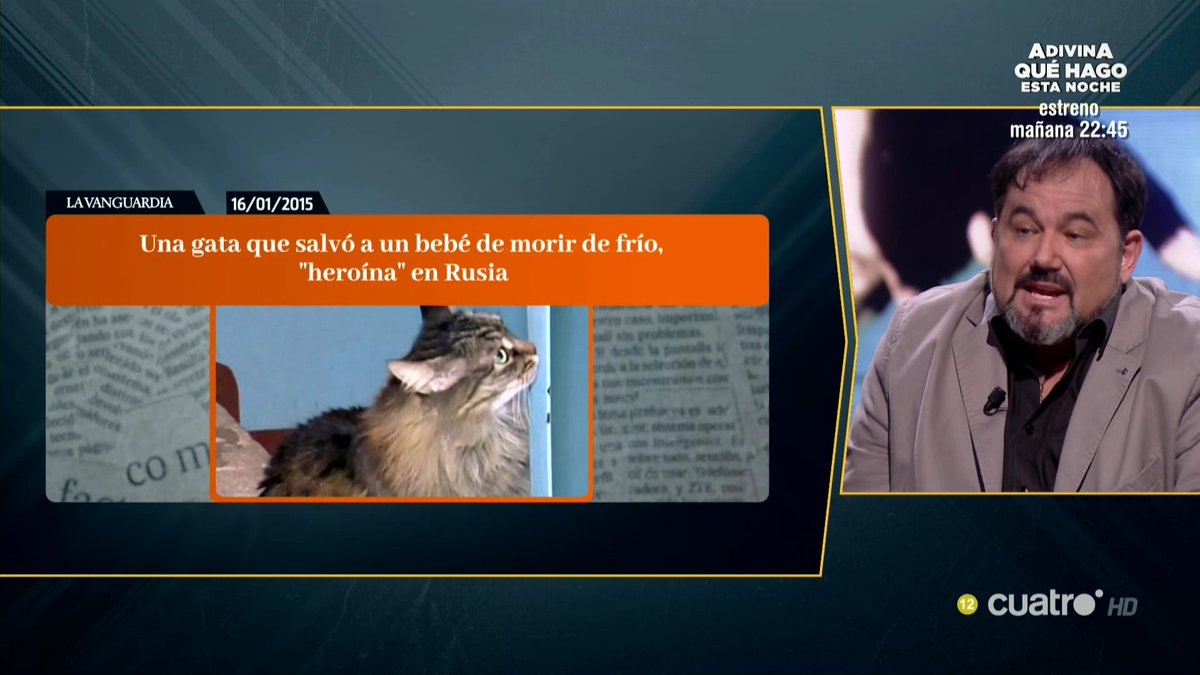 navedelmisterio's tweet photo. En 2005 una gata callejera llamada Masha logró mantener con vida a un bebé abandonado en una caja de cartón #CuartoMilenio https://t.co/Mrm3GSNMJ6