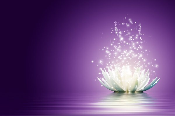 openskyqigong's tweet photo. Receive Mother Love every day 💕😊
Love is a Practice
https://t.co/iK8t22DpLY https://t.co/o26D9mVodc
