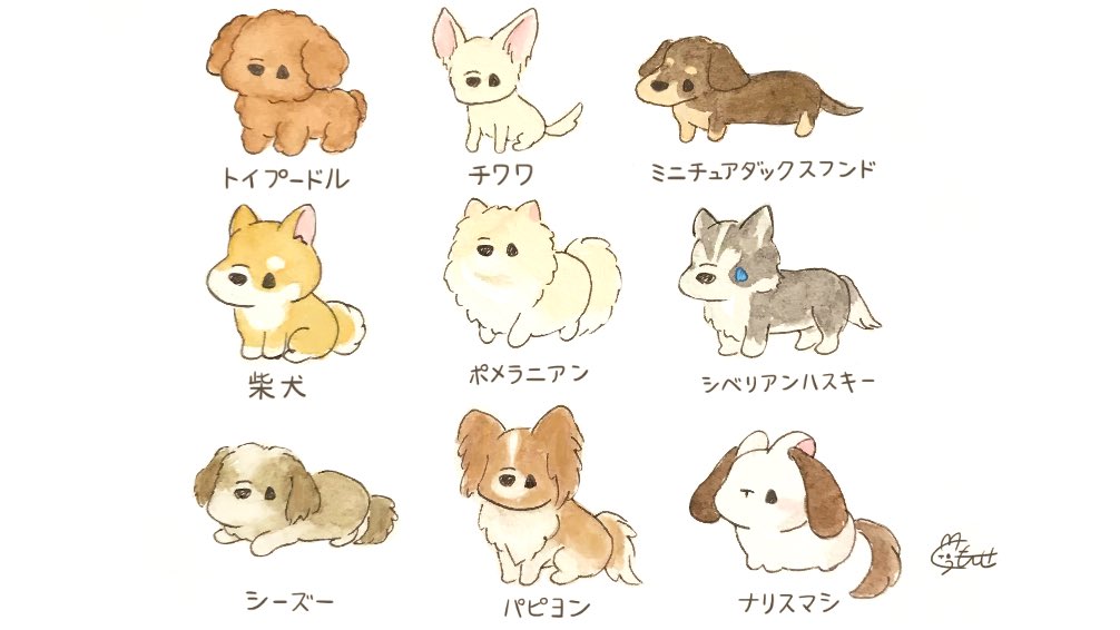 くぅもんせ Skyblueyumi ありがとうございます 柴犬可愛いですよね Twitter