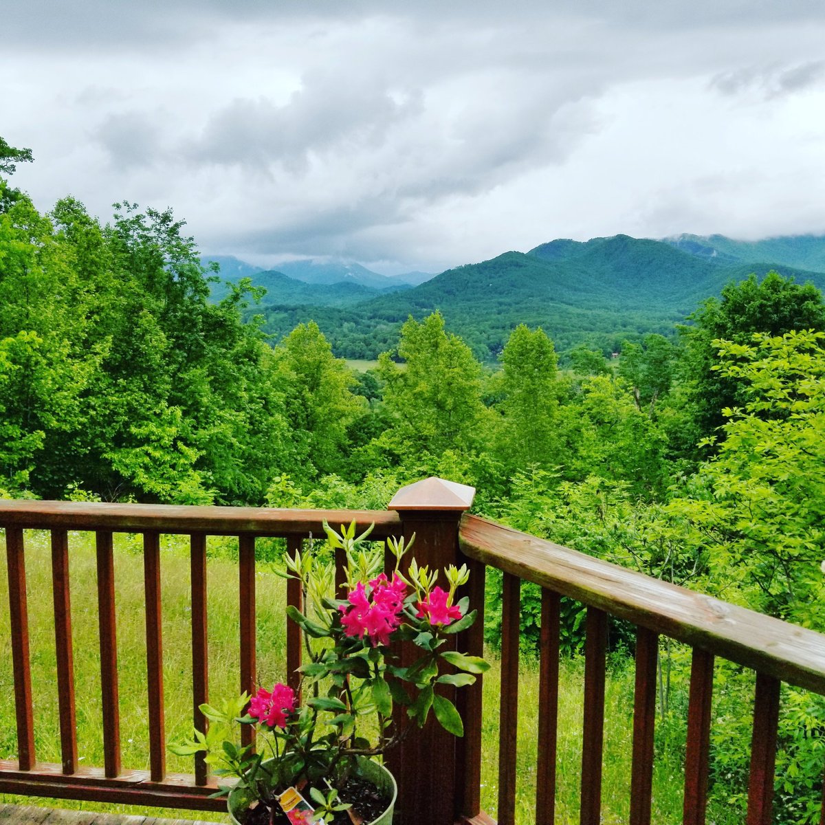 There's nothing like a cool, misty day in the #mountains to make you appreciate life! Wish you were here... oh wait, you could be... 💜

#grateful🙏 #travel #mountainvacation #mountainlife #NC #vacationhome #vacation🌴 #relaxing