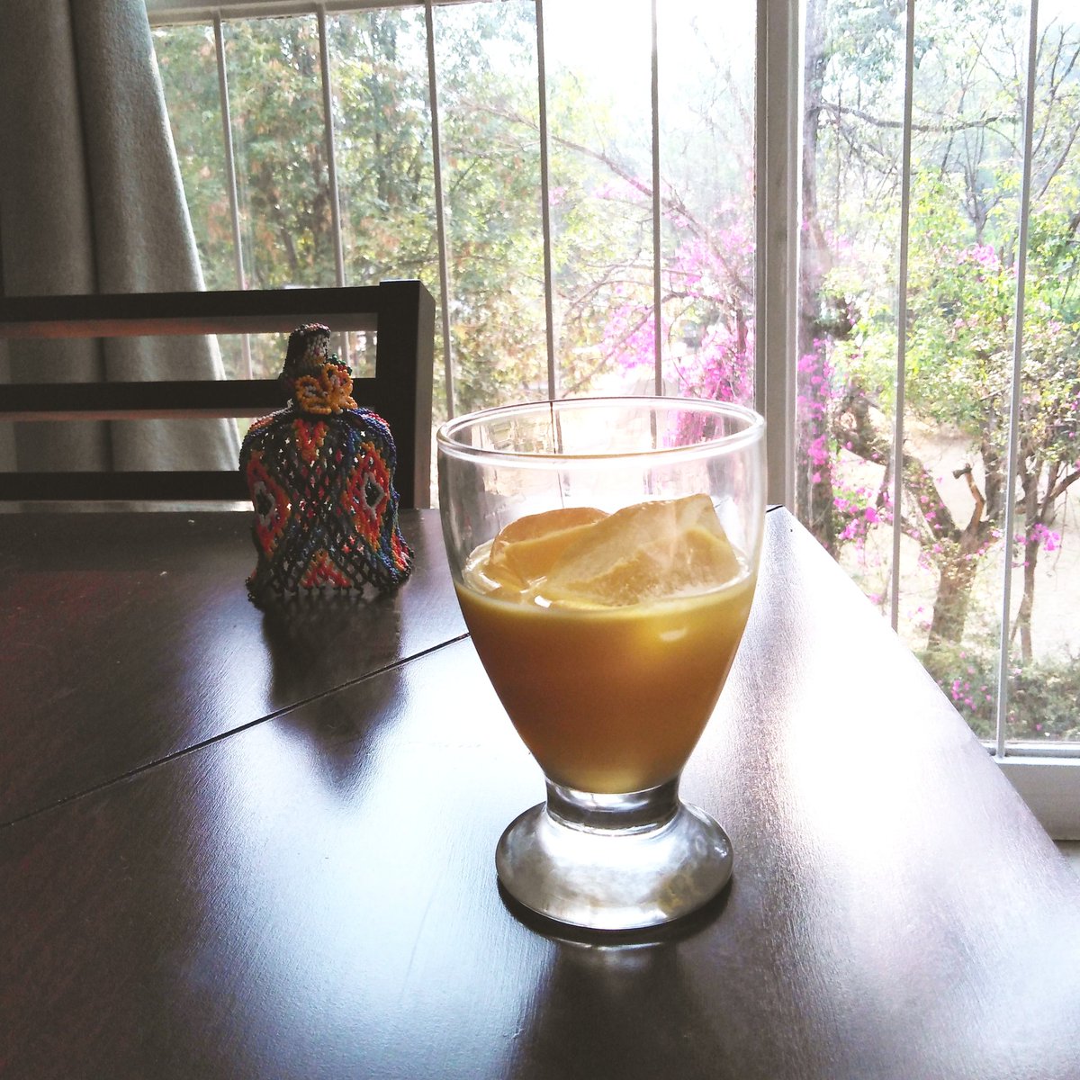 LaVayolette's tweet photo. Tarde en casa con rompope con hielo porque #señora.
#cosasbuenasqueseleocurrenalasmonjitas
#calorts https://t.co/2UQYvsYjW0