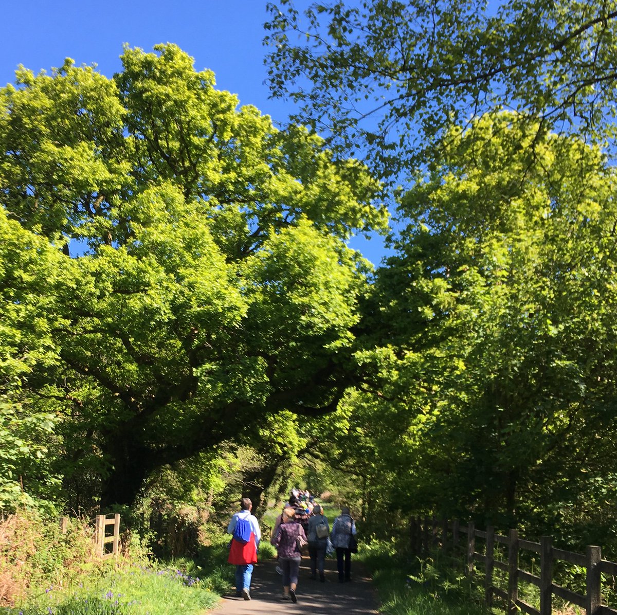 Tonteg Community Cen tweet media