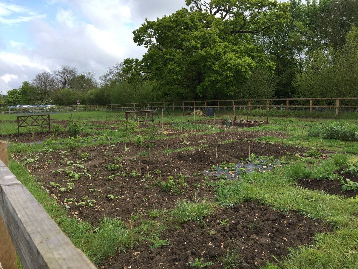 Bardwell Village tweet media