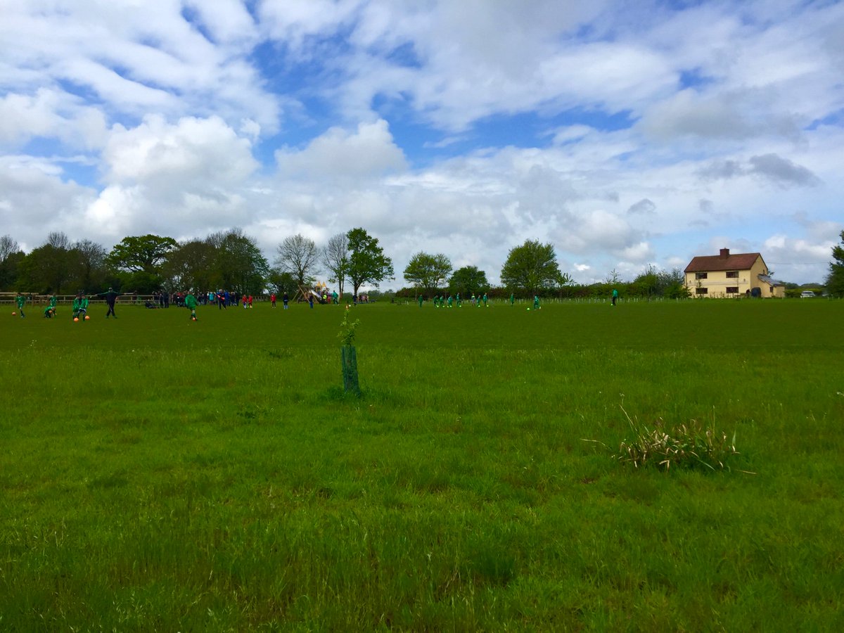 Bardwell Village tweet media