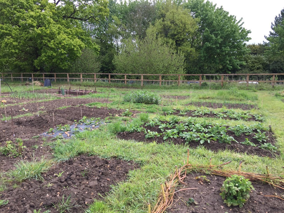 Bardwell Village tweet media