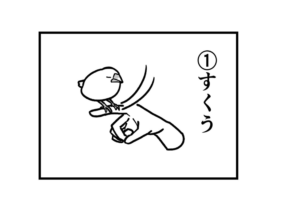 文鳥の吸い方
#文鳥 #4コマ漫画 