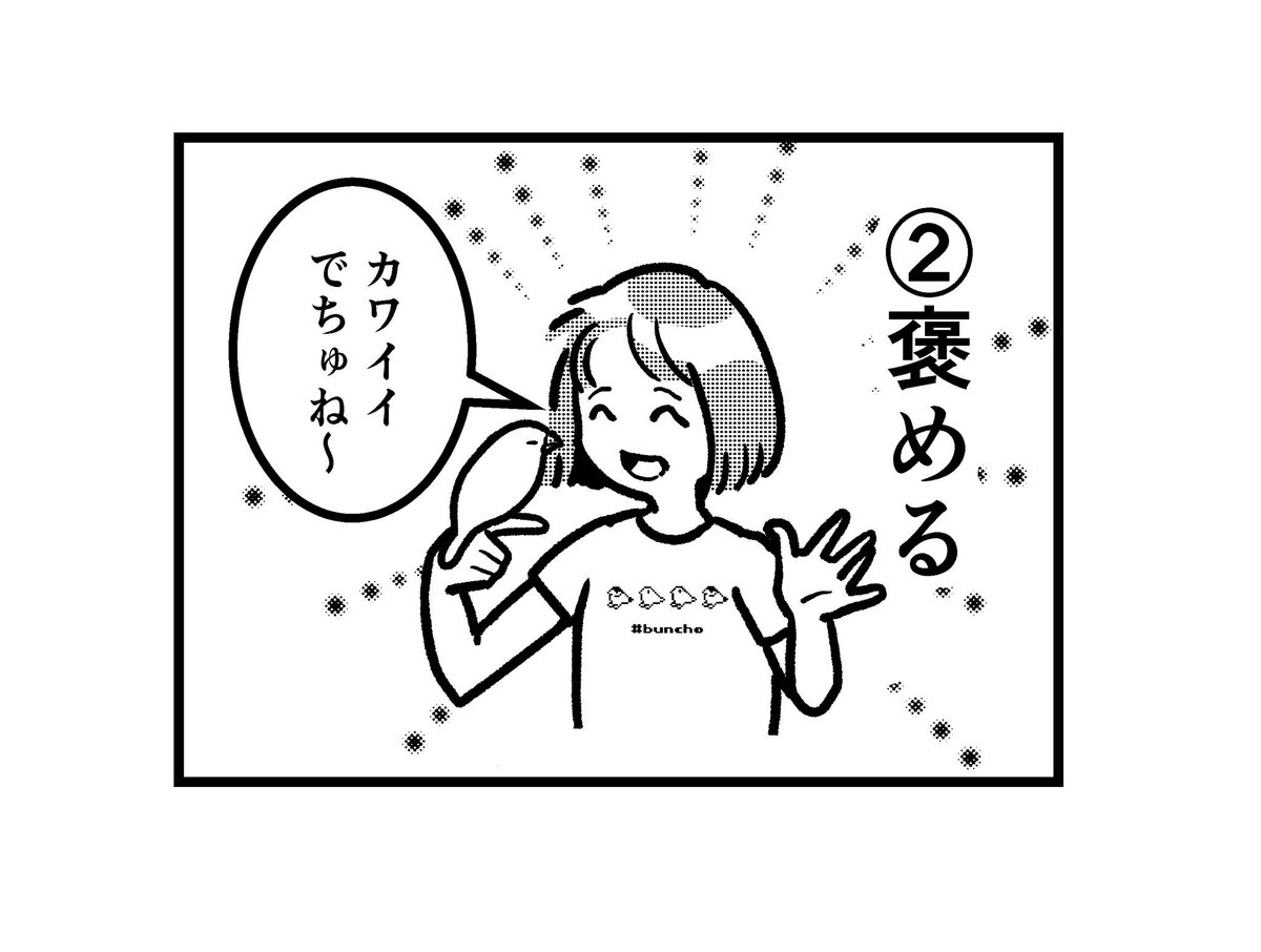 文鳥の吸い方
#文鳥 #4コマ漫画 