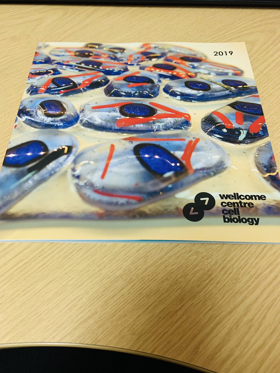 Glasswork of Pombe cells @WTcell thank you for making it a cover!