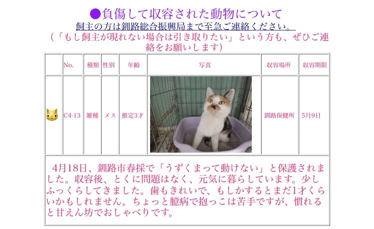 北海道 保健所 里親募集 釧路 Amp 標茶保健所さん 迷い犬 子犬達3わんは迷い犬ではなさそうに思います みんな女の子で厚岸町で保護されました 人馴れした標茶わんはまだお迎えがないそうです 拡散希望 北海道 保健所 迷い犬 釧路 標茶