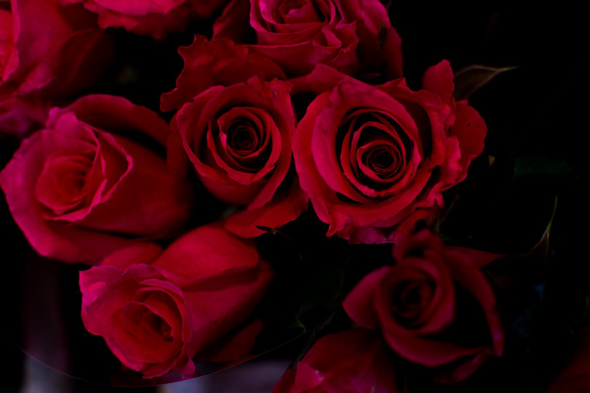 Uzivatel 花と緑のお店 Greenmind Na Twitteru 薔薇の季節がやってきましたよ 薔薇 ばら バラ 絵になります 世田谷 千歳船橋 祖師ヶ谷大蔵 成城学園前 お花屋さん