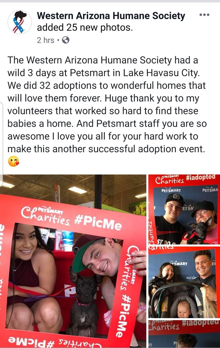 PetSmart1902Havasu tweet media
