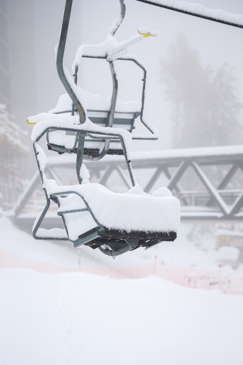 Snowbird's tweet photo. Chickadee, the true iron throne. https://t.co/DxZORFotnB