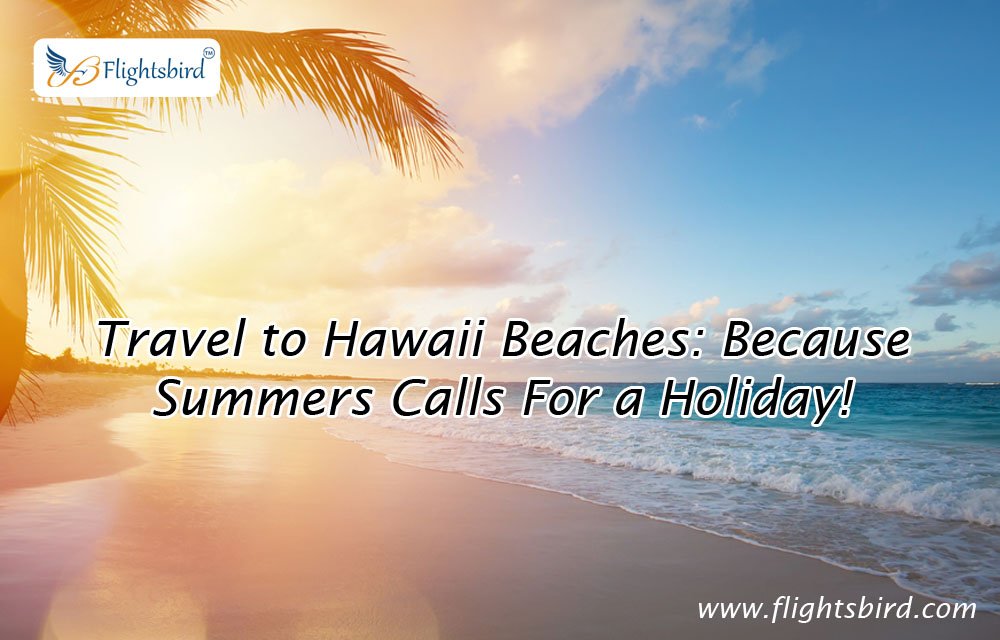 flightsbird's tweet photo. Travel to Hawaii Beaches: Because Summers Calls For a Holiday!

#TraveltoHawaii
#CheapFlights
#Flightsbird https://t.co/WYVl6cEJ32