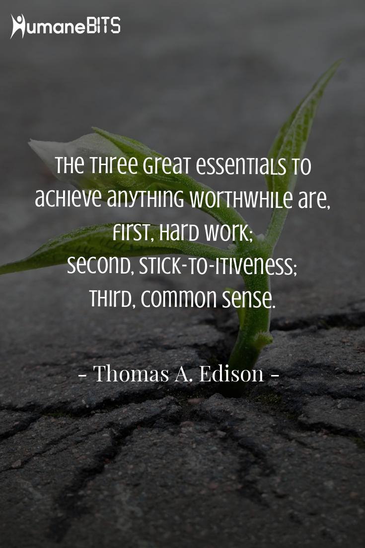 HumaneBITS's tweet photo. #MondayMotivation #MondayKick #HumaneBITS https://t.co/BGSewLTldu
