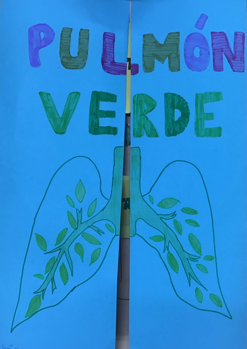 Perduts2's tweet image. Es que es nuestro trabajo final de matemáticas📄✂️🖍esperemos que os guste! #4EI #Matematicas