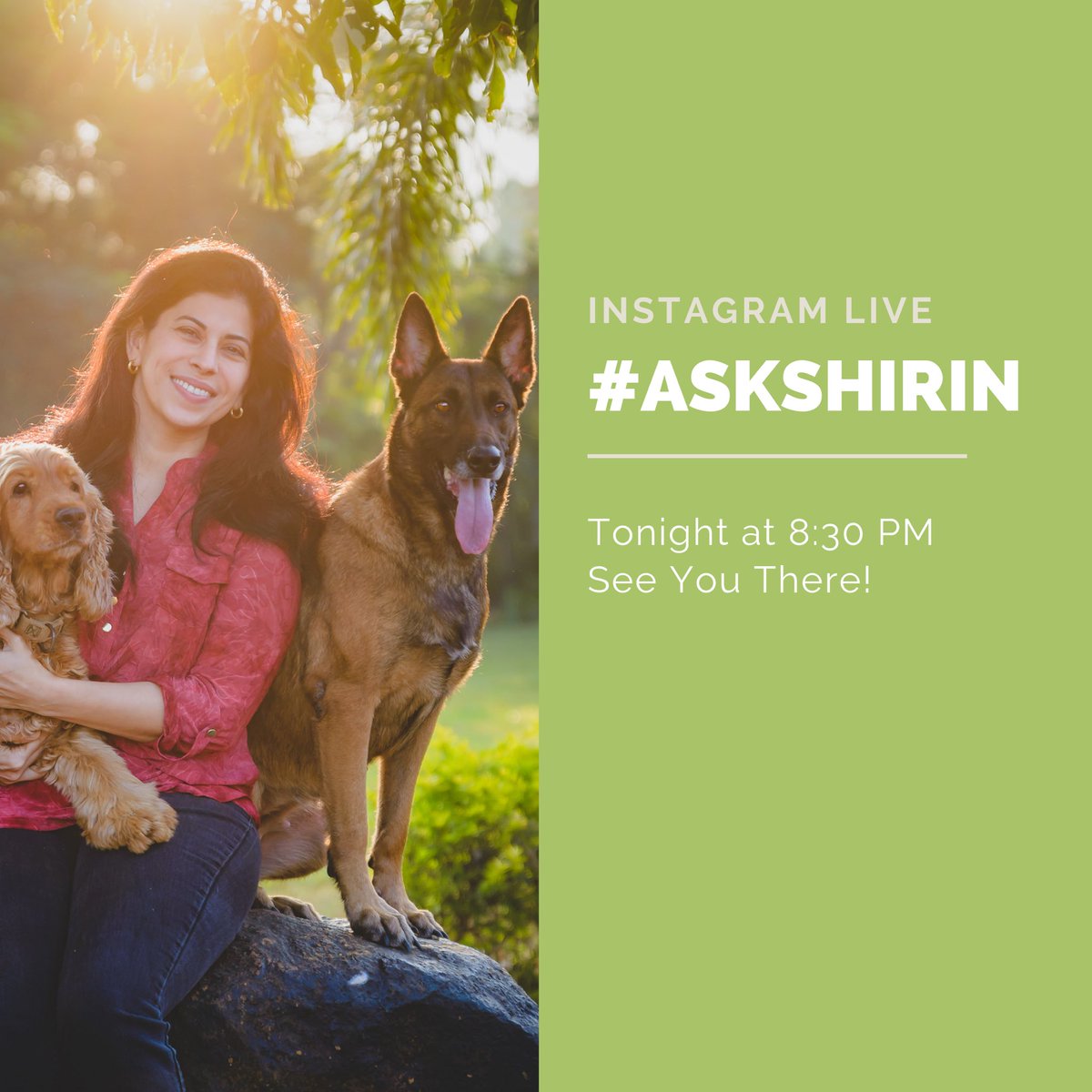 shirindhabhar's tweet photo. Hey Everybody,
I’m going LIVE on Instagram tonight @ 8:30 PM IST with my #AskShirin session to answer some of the questions related to dog behaviour and training that you sent me and also to answer some of the ones you will be sending me live.
Will I be seeing you there?! https://t.co/TsZzYmBARn