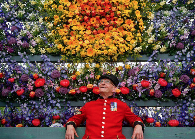 eicopaintsCo's tweet photo. When it comes to incredible colour, nature does it in abundance. Here at eicó paints, we strive to do the same, as well as being kind to the environment and the chemically-sensitive. @The_RHS  #ChelseaFlowerShow #FREE #ColourCard 🎋🌾🌸🌼💐 https://t.co/CKGwy6e994