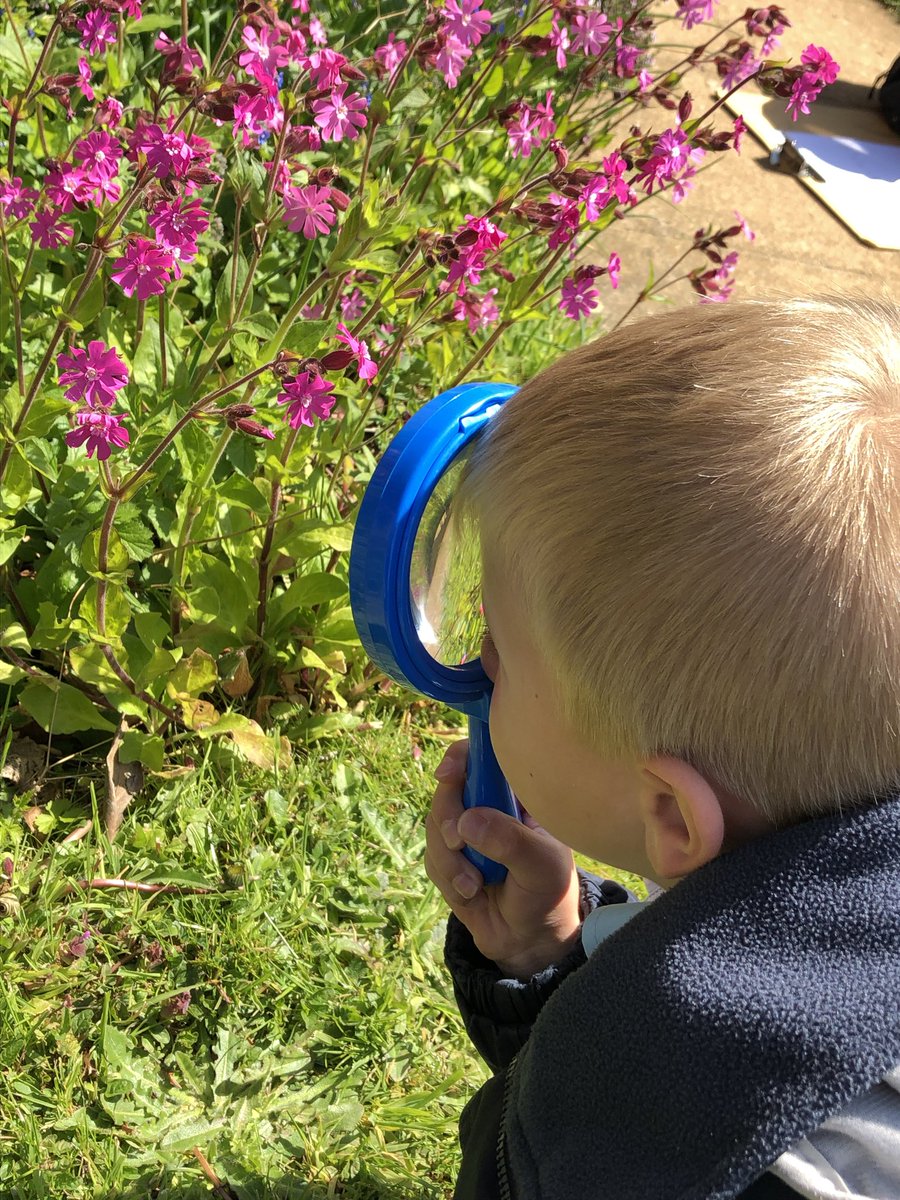 SibfordJS's tweet photo. So lucky to be situated in this location #classroomseverywhere #outdoorlearning #oxfordshirecountryside #sibfordjuniorschool #developingcuriosity https://t.co/sC2i6lEdyh