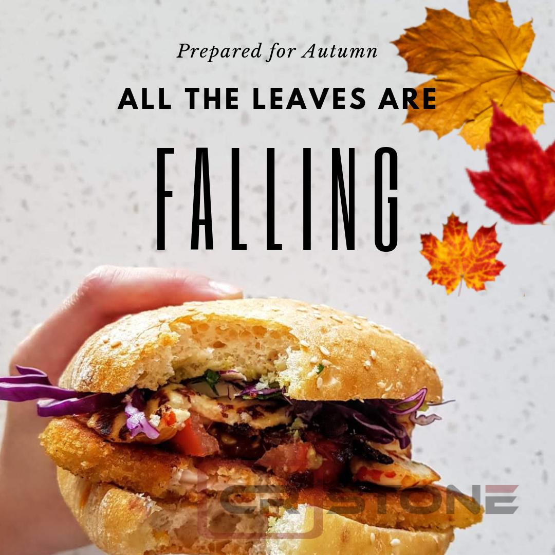 CR Stone tweet media