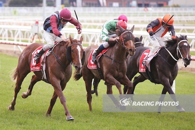 Yargi Racing tweet media